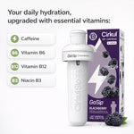 GoSip® Blackberry - US 8934